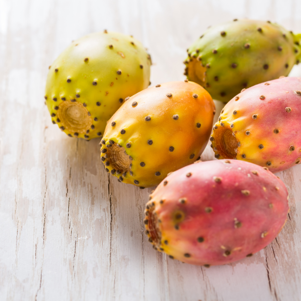 Ingredient Highlight: Prickly Pear Seed Oil