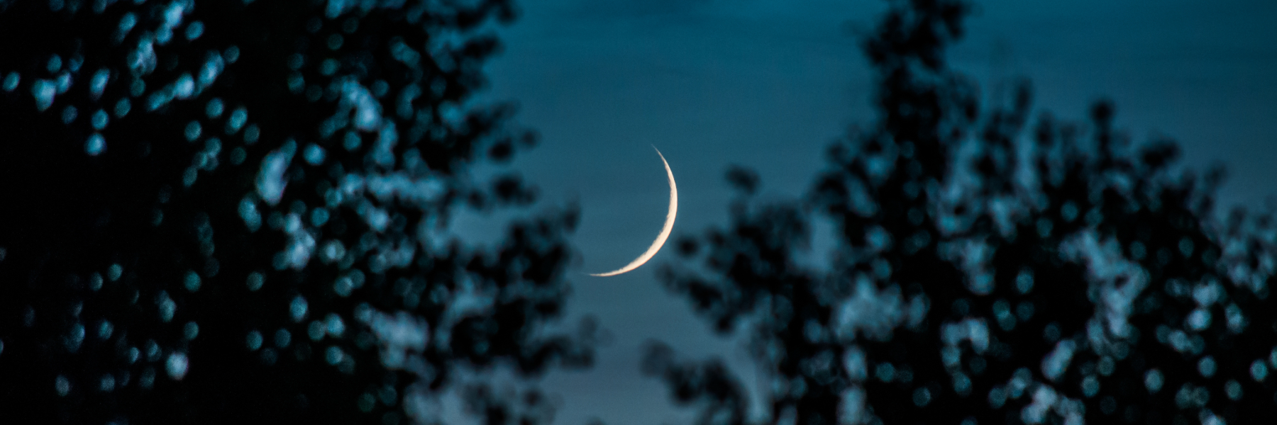 New Moon, New You: Self Healing Ritual