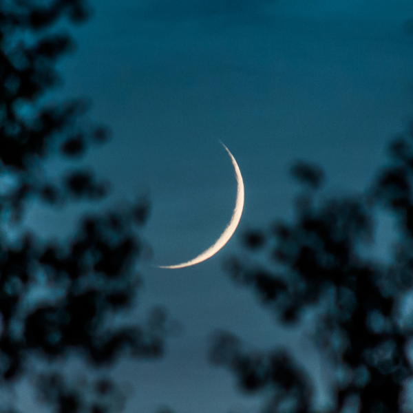 New Moon, New You: Self Healing Ritual