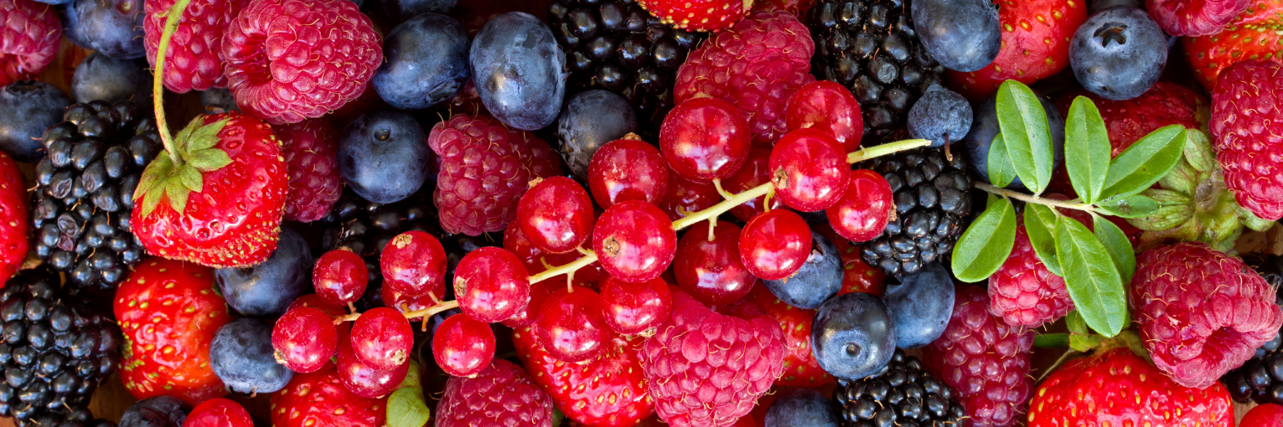 What Makes Berries, SUPER Berries?