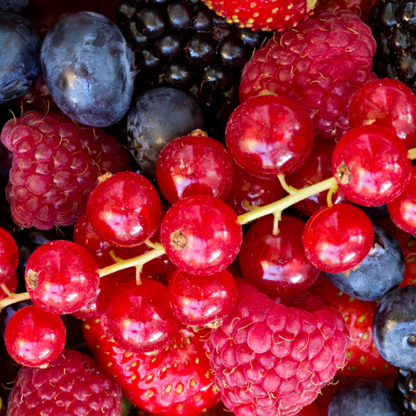 What Makes Berries, SUPER Berries?