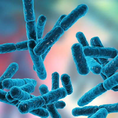 How Probiotics Improve the Health of Your Skin