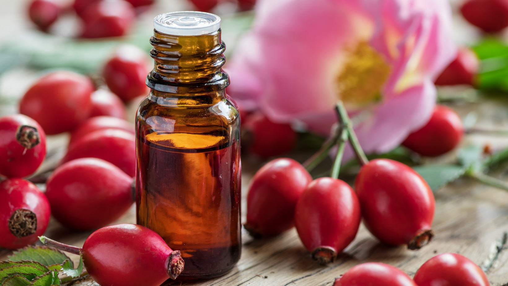 amber bottle of rosehip oil surrounded by rosehips and a pink rosehip flower
