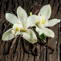 Vanilla