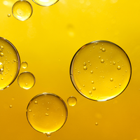 Hydrogenated Vegetable Oil