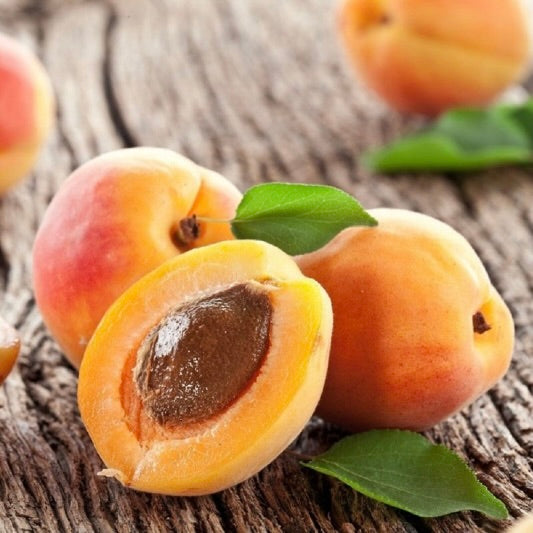 Apricot Kernel Oil